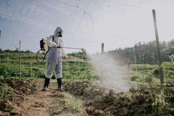 Best Mosquito Control Services  in Winterset, IA
