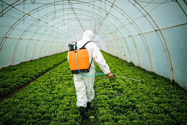 Best Best Pest Control Companies  in Winterset, IA