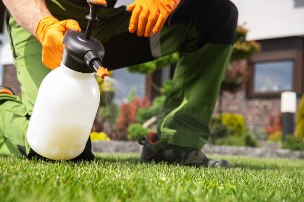 Best Pest Removal Services  in Winterset, IA