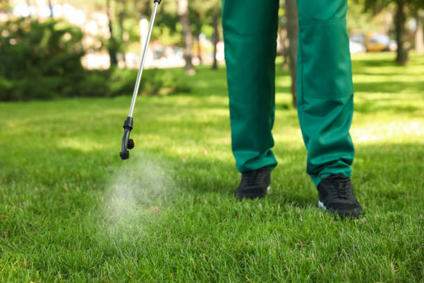 Professional Pest Control in Winterset, IA