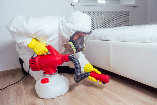 Best Affordable Pest Control Services  in Winterset, IA