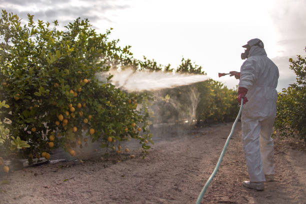 Best Pest Prevention Services  in Winterset, IA