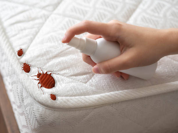 Best Commercial Pest Control Services  in Winterset, IA