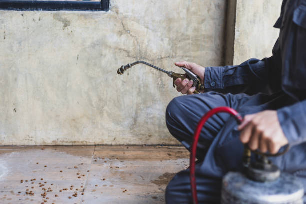 Best Residential Pest Control  in Winterset, IA