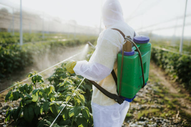 Best Termite Control Services  in Winterset, IA